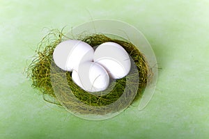 White chicken eggs in a nest