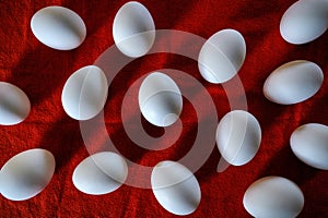 White chicken eggs on red surface