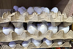 white chicken eggs in a tray on display closeup