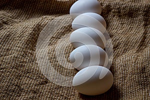 White chicken eggs. White eggs lie on sacking