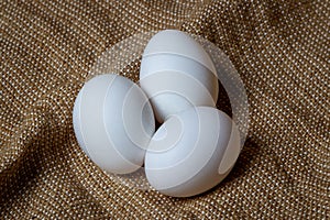 White chicken eggs. White eggs lie on sacking