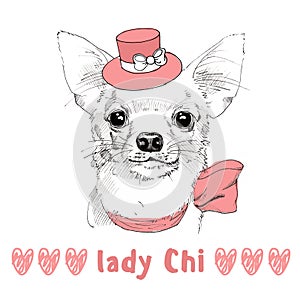 White Chihuahua with pink hat hand drawn portrait