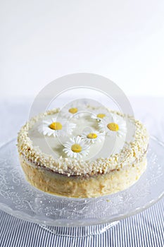 White chocolate cake with almonds decorated with flowers