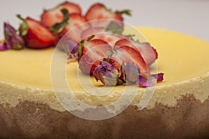 White Chocolate cake with berries with beauty background.