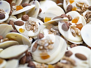 White chocolate confections with almond, walnuts and candied fruit on top.