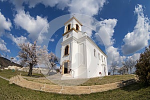 White christian chapel in Pecs with blooming almond tree in spring