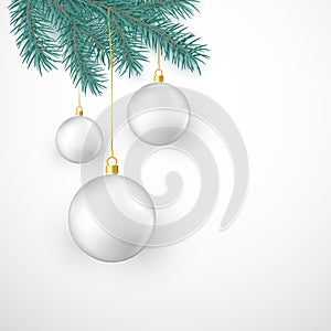 White Christmas balls hanging on fir branch. Winter holiday decoration element. Vector illustration isolated on white background
