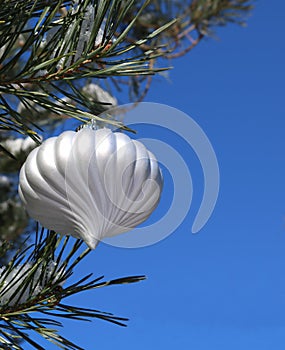 White Christmas bulb on real outdoor tree against bright blue sky