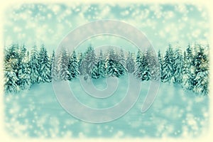 White Christmas greeting card background. Snowfall forest landscape with copy space. Winter landscape with fir trees covered with