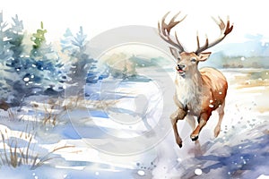 White christmas winter deer wildlife landscape snow forest wild nature