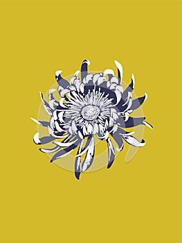 White Chrysanthemum flower design on yellow. Mothers day floral
