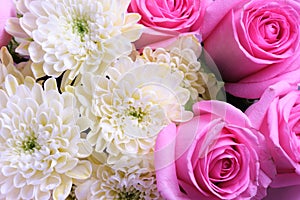 White chrysanthemum and a pink rose in closeup.