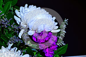 White chrysanthemum and purple carnation flowers bouquet in night scene