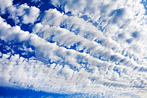 White cirrocumulus clouds blue sky background, fluffy stratocumulus cloud texture, altocumulus cloudy skies, cirrus cloudscape