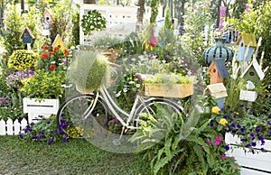 White classic bicycle in home garden