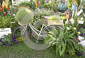 White classic bicycle in home garden