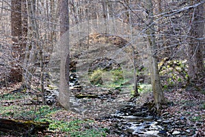 White Clay Creek in Delaware.