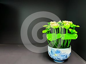 White clay lotus flower in the tile pot