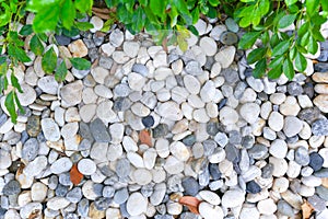 White clean round Pebble stone texture.