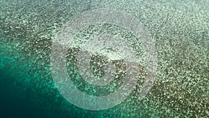 Aerial view of a reef in Malaysia with clear water photo