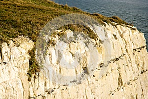 White Cliffs Of Dover