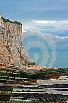 White Cliffs of Dover