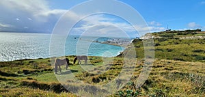 White cliffs of Dover Photography, part of the North down& x27;s formation. Stunning beautiful views.