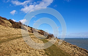 White cliffs of Dover by the sea.