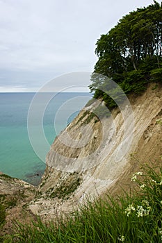 The White Cliffs of Moen in Denmark photo
