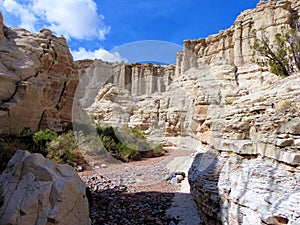 White cliffs in narrow canyon