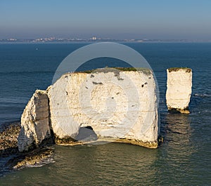 White cliffs of Old Harry Rocks in Dorset