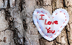 A white cloth heart with I love you embroidered upon on an oak tree