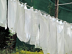 White clothes hanging to dry at Dhobi Ghat, Mumbai, India