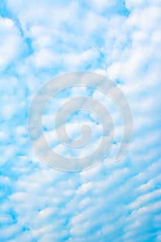 white cloud and blue sky background image