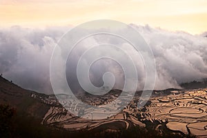 White cloud of mist entering and covering a rice field landscape in a valley between mountains at sunset.