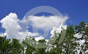 White Clouds Against Panoramic Blue Sky
