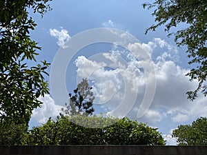 White clouds with blue skies and green trees.