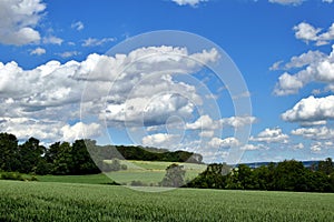 White clouds, blue sky, green fields. Summer.