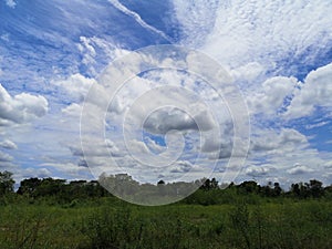 White clouds in the blue sky natural background on green field and bush tree