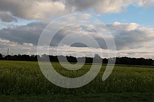White clouds and blue sky over a field in geeste emsland germany
