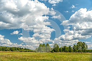 White clouds on blue sky over green forest