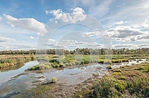 White clouds and blue sky reflecting in the mirror smooth surface of a swampy creek photo