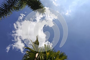 The white clouds in the blue sky resemble a poodle