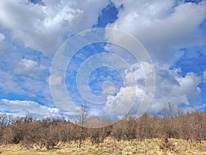 White clouds blue sky winter forest