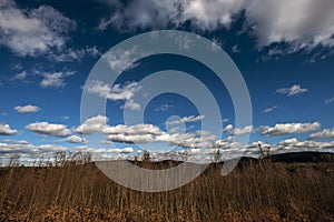 White clouds on a dark blue sky floating over the forest