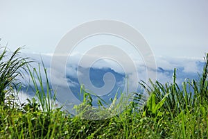 White clouds are floating over top of the green mountain in Sajek, Bangladesh