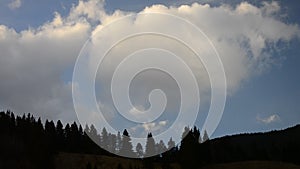 White clouds move over black fir tree silhouettes