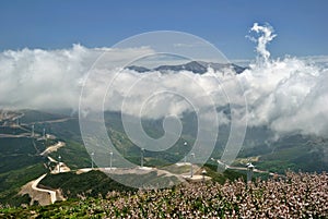 White Clouds over Green Hills and Wind Mills