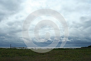 White clouds over the sea, wildlife of the north