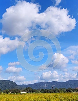 White clouds in the sky drifted through rice fields and mountains.